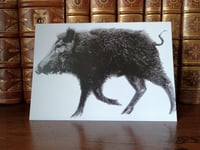 Image 1 of "Wild Pig" Greetings Card