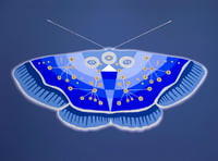 Image 1 of 'Gentle Spirit'