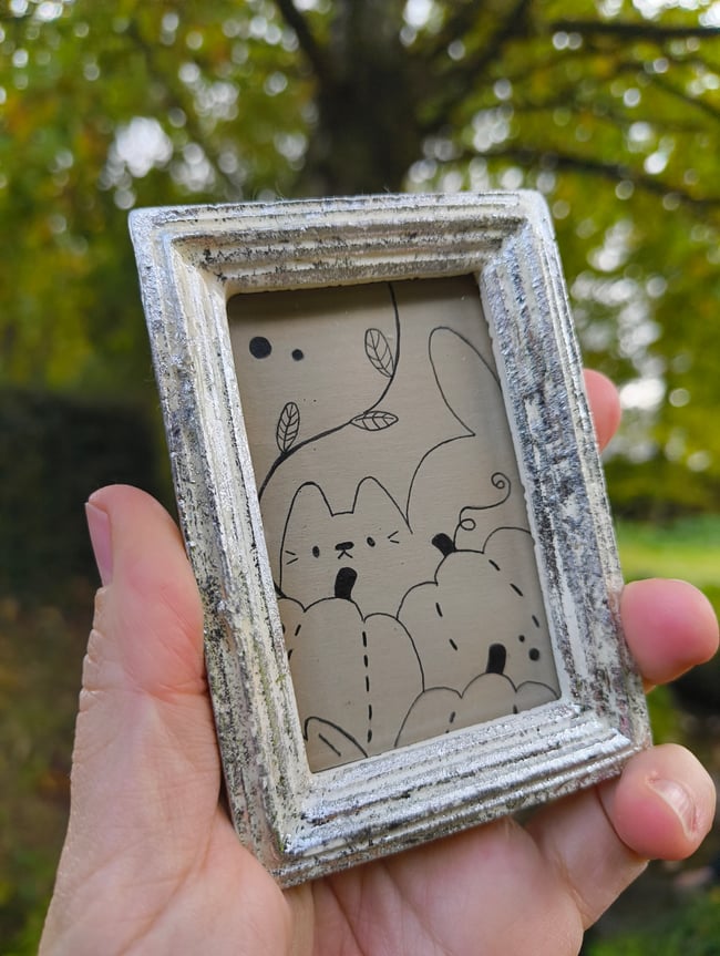 Cadre dessins originaux 