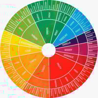 Perfumery Foundations 10 Week Course Starting 4th February 2026