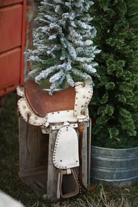 Image 3 of "Cowboy Christmas" {Family Minis} Saturday, November 29th