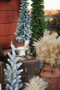 Image 4 of "Cowboy Christmas" {Family Minis} Saturday, November 29th