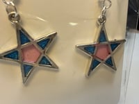 Image 5 of Metal Framed Resin Earring collection 1