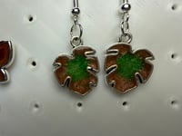 Image 3 of Metal Framed Resin Earring collection 1