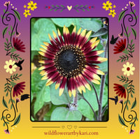 Image 7 of Sunflower Garden Mug - Black