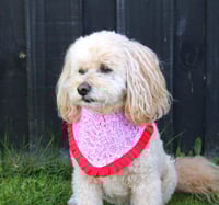 Image 4 of Dog Bandana - Sleigh Belle