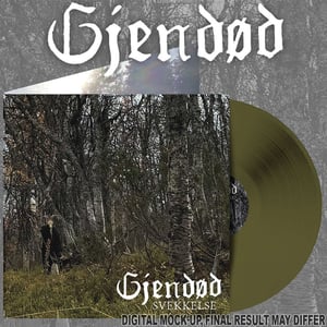 Image of Gjendød – Svekkelse 12" LP