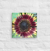Image 2 of Sunflower - 12” X 12” Canvas Print