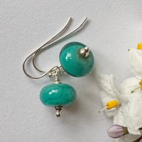 Image 3 of Teal Petites - Shiny