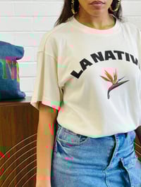 Image 5 of LA NATIVE Birds of Paradise