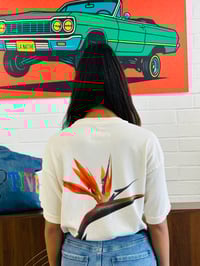 Image 7 of LA NATIVE Birds of Paradise