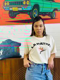 Image 8 of LA NATIVE Birds of Paradise