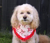 Image 4 of Dog Bandana - In my bow era
