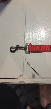 Image 3 of Dog Leash 