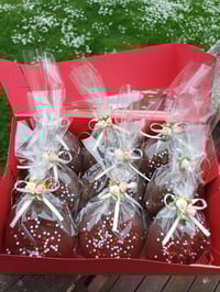 Image 1 of Chocolate Wheel 