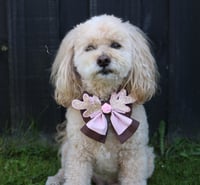 Image 5 of Dog Bow - Oh Deer