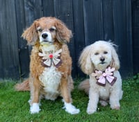 Image 4 of Dog Bow - Oh Deer