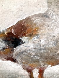 Image 2 of White Duck