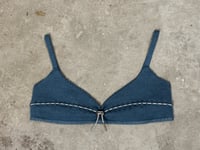 Blue Bra
