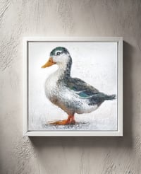 Image 3 of Mallard Duck