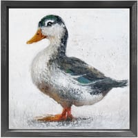 Image 4 of Mallard Duck