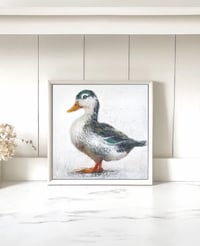 Image 1 of Mallard Duck