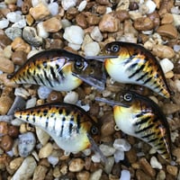 Image 5 of Custom Airbrushed S-CRANK 1.5 Squarebill Crankbait  2264