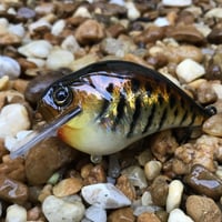 Image 1 of Custom Airbrushed S-CRANK 1.5 Squarebill Crankbait  2264