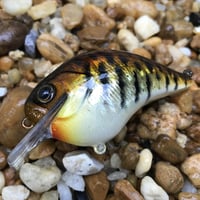 Image 4 of Custom Airbrushed S-CRANK 1.5 Squarebill Crankbait  2264