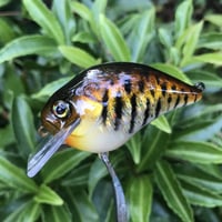 Image 9 of Custom Airbrushed S-CRANK 1.5 Squarebill Crankbait  2264