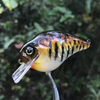 Image 12 of Custom Airbrushed S-CRANK 1.5 Squarebill Crankbait  2264