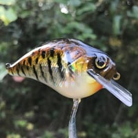 Image 14 of Custom Airbrushed S-CRANK 1.5 Squarebill Crankbait  2264