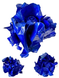 Blue Flower