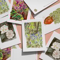 Botanical note cards (A6)