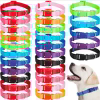 Image 1 of Embroidered Dog Collar