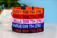 Image 2 of Embroidered Dog Collar