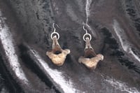 Image 8 of Dead good tea stained vertebrae earrings
