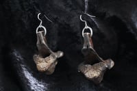 Image 3 of Dead good tea stained vertebrae earrings