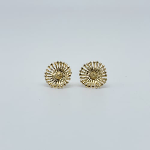 Image of Boucles d'oreilles Hana