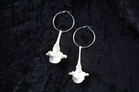 Image 2 of dead good sheep vertebrae earrings
