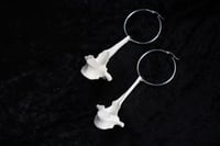 Image 1 of dead good sheep vertebrae earrings