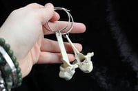Image 4 of dead good sheep vertebrae earrings
