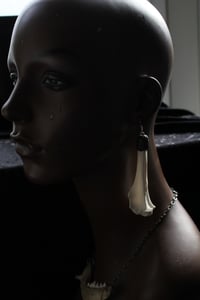 Image 2 of Dead good Fox bone earrings longer length