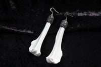 Image 1 of Dead good Fox bone earrings longer length