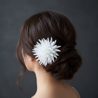 Image 1 of Hair piece Imaginary Plants