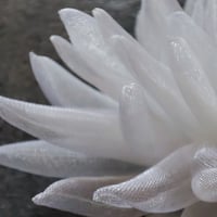 Image 3 of Hair piece Imaginary Plants