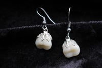 Image 6 of Dead Good dangly small  molar teeth earrings