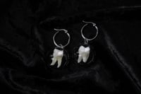 Image 1 of Dead Good real human teeth glass and steel earrings 