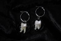 Image 2 of Dead Good real human teeth glass and steel earrings 