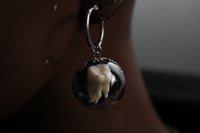 Image 4 of Dead Good real human teeth glass and steel earrings 